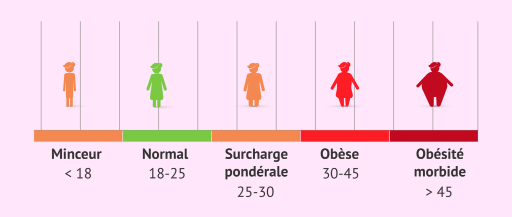 Insuffisance pondérale Poids normal Surpoids Obésité modérée Obésité sévère Obésité morbide ou massive 